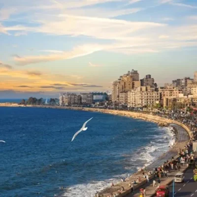 Alexandria