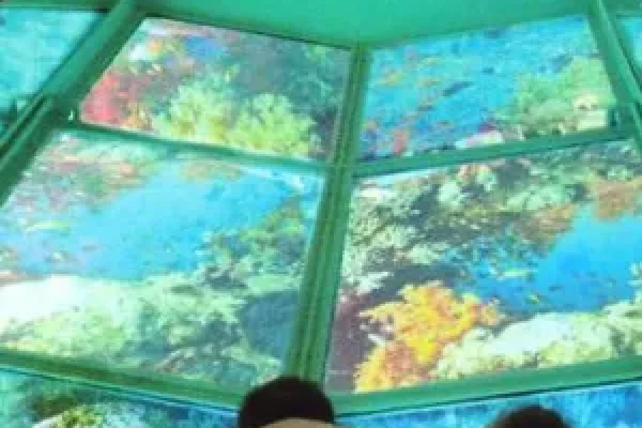 Glass Bottom Boat Sharm El Sheikh