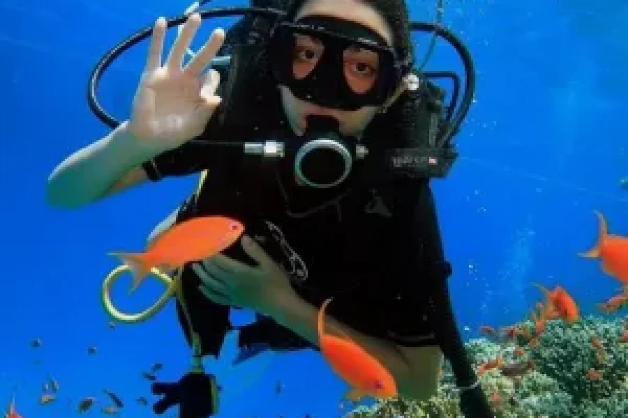 Scuba Diving Ras Mohamed