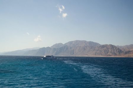 Premium Private Tour: FIND THE DUGONG IN MARSA ALAM BY SPEED BOAT