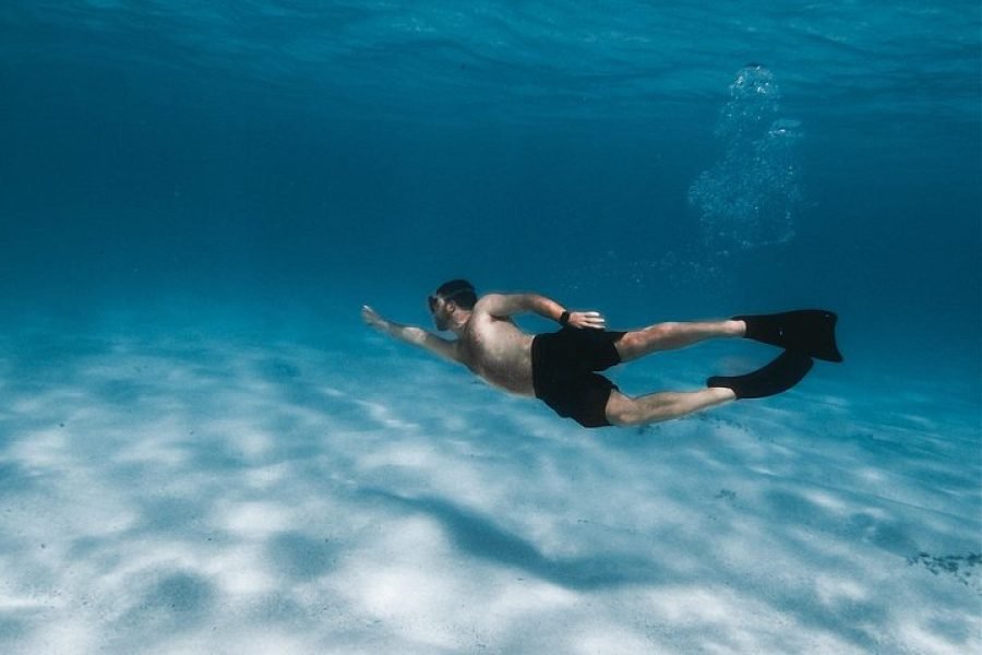 Premium Private SNORKELING TRIP AT PORT GHALIB MARINA FROM MARSA ALAM
