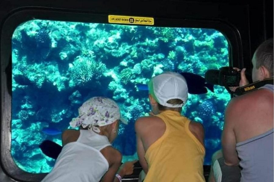Premium Semi Submarine Trip from Marsa Alam: Family Undersea Safari