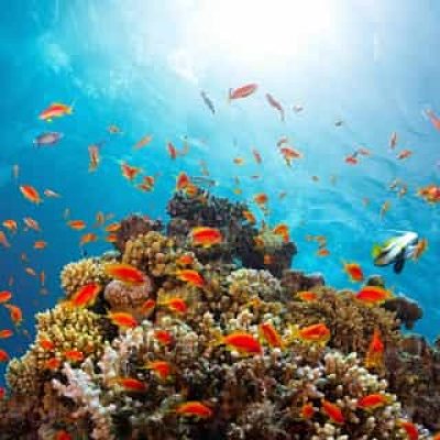 Sea Tours