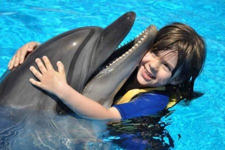 Swim With Dolphins Hurghada from Sahl Hasheesh