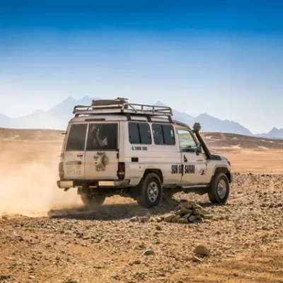 Safari Tours