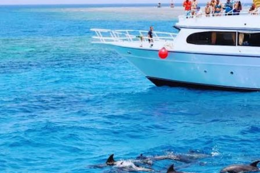 Dolphin House Hurghada