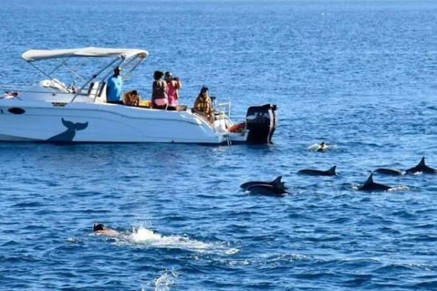 Speed Boat Trip in Hurghada