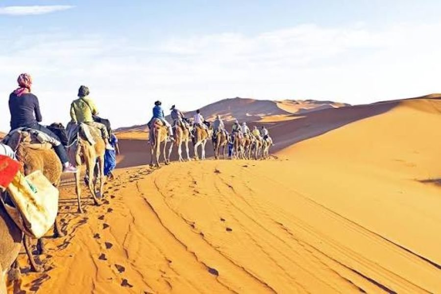 Frequently Asked Questions Is the camel ride suitable for beginners? Yes. The camels are calm and experienced guides assist throughout the ride. Can children join this excursion? Yes. This family-friendly experience is suitable for children of all ages. How long is the camel ride? The ride usually lasts between 20 and 30 minutes, depending on the day's program. Is dinner included? Yes. A traditional Bedouin buffet dinner is included. Are vegetarian meals available? Yes. Vegetarian dishes can be prepared upon request. Is hotel transportation included? Yes. Round-trip hotel transfers from Sharm El Sheikh are included. What entertainment is included? Guests enjoy: Belly Dance Tanoura Show Fire Show Traditional Bedouin music What should I wear? Comfortable clothes, a light jacket during winter, sunglasses, and comfortable footwear are recommended. Is this tour suitable for couples? Absolutely. The peaceful atmosphere and spectacular sunset make this one of the most romantic excursions in Sharm El Sheikh. Can I combine this excursion with quad biking? Yes. If you're looking for more adventure, you can book the Super Safari Sharm El Sheikh, which includes quad biking, camel riding, dinner, and live entertainment. Why Travelers Love This Experience The Camel Ride & Bedouin Dinner Sharm El Sheikh offers an authentic escape into one of Egypt's most beautiful natural landscapes. Visitors love the peaceful camel ride, warm Bedouin hospitality, delicious local cuisine, colorful folklore performances, and breathtaking desert sunset that make this one of the most memorable evening excursions in Sharm El Sheikh. Book Your Camel Ride & Bedouin Dinner Today Step away from the beaches and experience the timeless beauty of the Sinai Desert. Ride a camel across golden dunes, enjoy authentic Bedouin traditions, savor a delicious dinner beneath the stars, and watch spectacular Egyptian performances in an unforgettable desert setting. Reserve your Camel Ride & Bedouin Dinner Sharm El Sheikh today and discover why this is one of the most loved cultural excursions in Egypt.