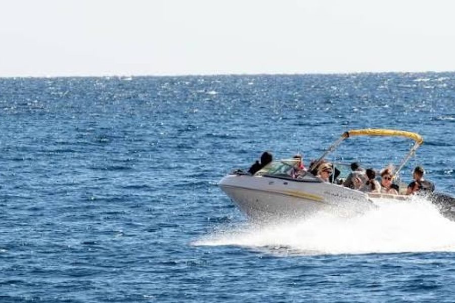 Private Speed Boat Sharm El Sheikh | Snorkeling, Tiran Island & Ras Mohammed