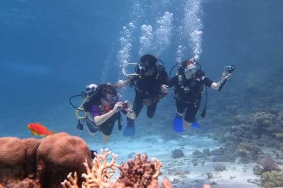 White Island & Ras Mohammed Diving